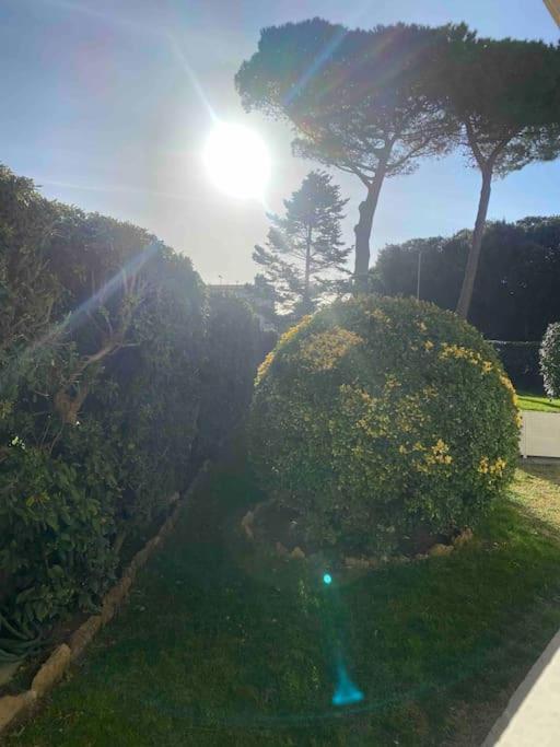 리보르노 Casa Vento Marino 아파트 외부 사진